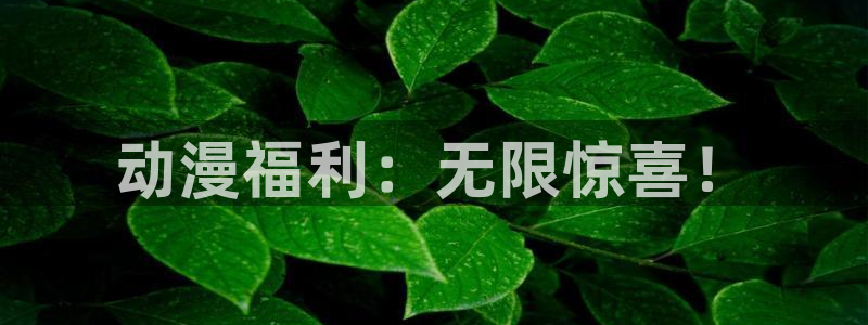 动漫之家社区版最新：动漫福利：无限惊喜！