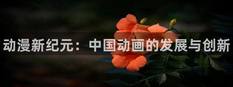 动漫之家在线观看：动漫新纪元：中国动画的发展与创新