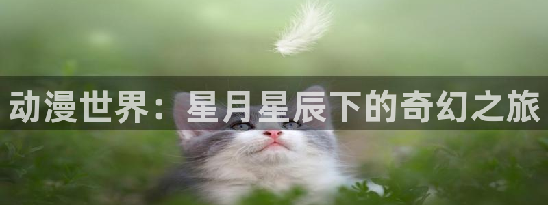 动漫之家flutter：动漫世界：星月星辰下的奇幻之旅